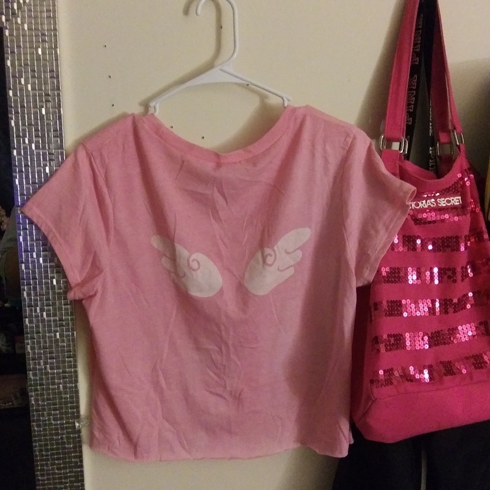 Pink color faded Angel wings crop top.